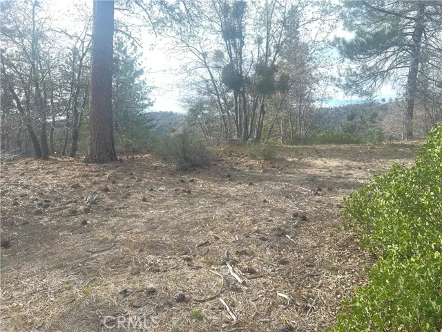 0 Hardy, Running Springs, CA 92382 - #2