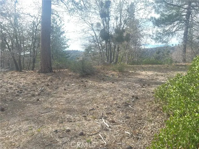 0 Hardy, Running Springs, CA 92382 - #3