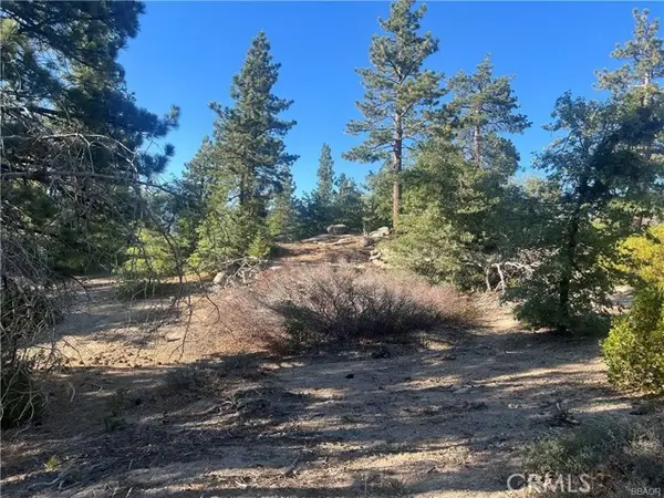 0 Hardy, Running Springs, CA 92382