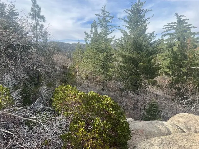 0 Hardy, Running Springs, CA 92382 - #2