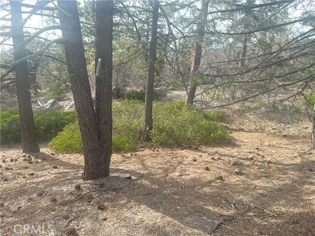 0 Hardy, Running Springs, CA 92382 - #3