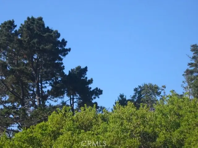 195 Spindrift Road, Carmel Highlands, CA 93923 - #3