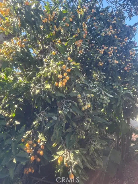 928 Buffington, Upland, CA 91784 - #3