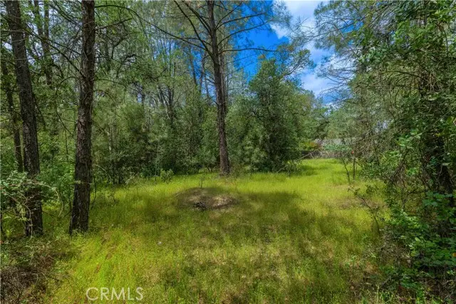 1720 Mckinney, Redding, CA 96003 - #2