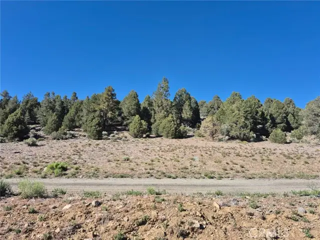 2787 Erwin Ranch, Big Bear City, CA 92314 - #3