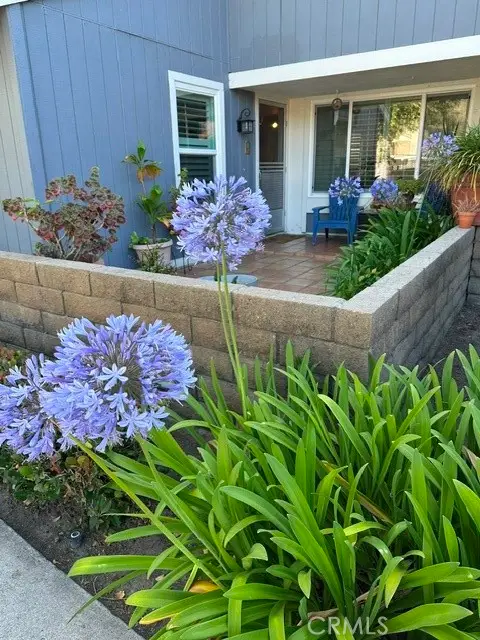 29562 Brook Court, San Juan Capistrano, CA 92675