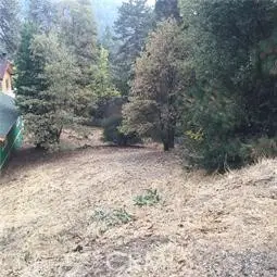23795 Zuger, Crestline, CA 92325