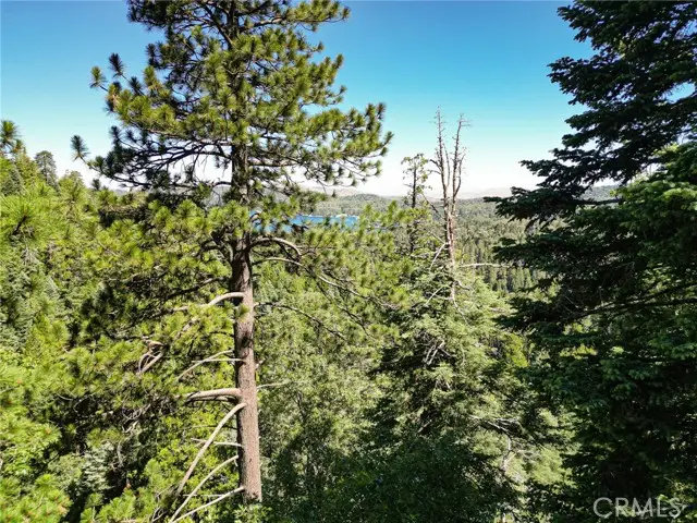 746 Blue Ridge Drive, Skyforest, CA 92385 - #2
