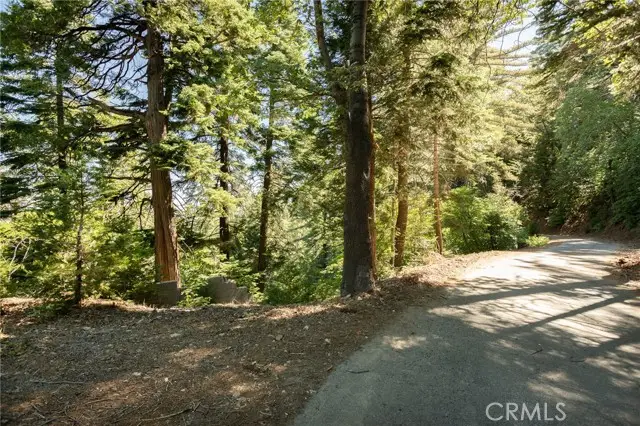 746 Blue Ridge Drive, Skyforest, CA 92385 - #3