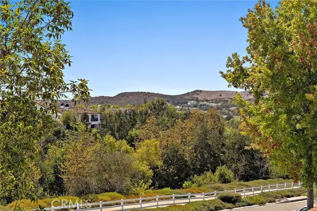 19 Rosana, Trabuco Canyon, CA 92679 - #3