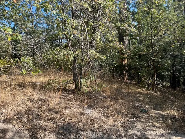 0 Lone Pine Dr., Running Springs, CA 92382 - #3