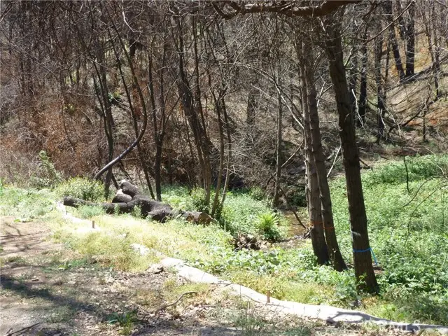 9741 Oroville Quincy Highway, Berry Creek, CA 95916 - #2