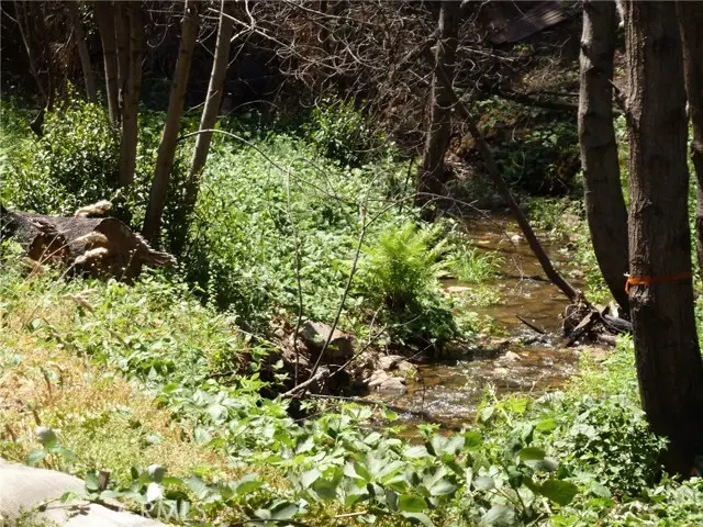 9741 Oroville Quincy Highway, Berry Creek, CA 95916 - #3