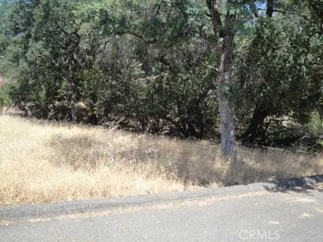 586 Silver Leaf Drive, Oroville, CA 95966 - #2