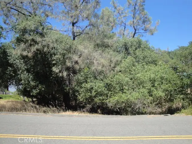 586 Silver Leaf Drive, Oroville, CA 95966 - #3