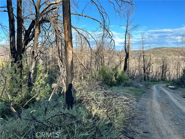 0 Seminole, Berry Creek, CA 95916 - #1