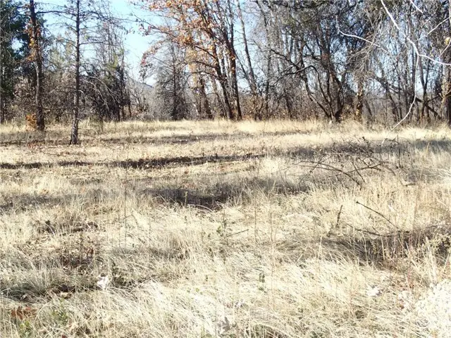 51 Horseshoe Trail, Berry Creek, CA 95916 - #3