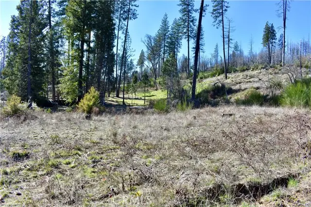 20 Meadow Lane, Berry Creek, CA 95916 - #1