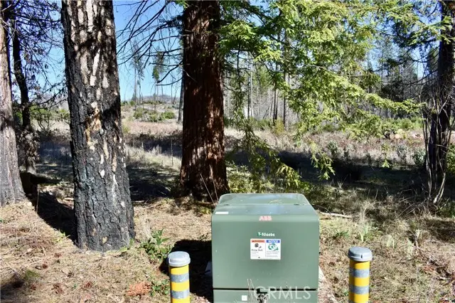 20 Meadow Lane, Berry Creek, CA 95916 - #3