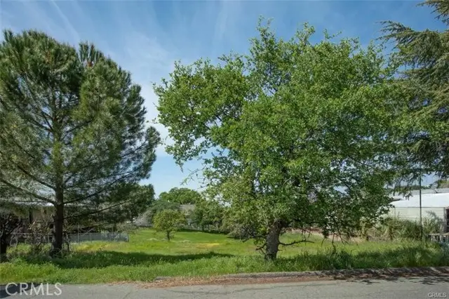 517 Silver Leaf, Oroville, CA 95966 - #2