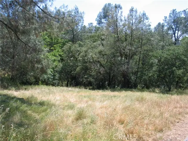 211 Lemon Hill Drive, Oroville, CA 95966 - #2