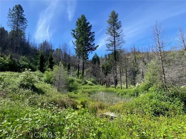 582 Eden Canyon Road, Berry Creek, CA 95916 - Image #1