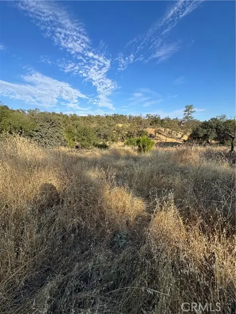 3258 Dry Creek Road, Oroville, CA 95965 - #3