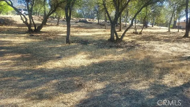 307 Lodgeview Drive, Oroville, CA 95966 - #1