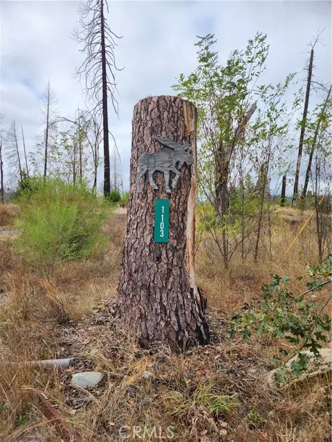 1103 Bald Rock Road, Berry Creek, CA 95916 - #1