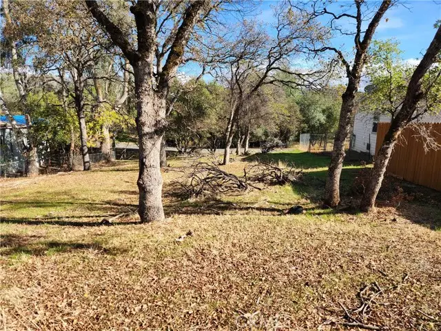 590 Lodgeview Drive, Oroville, CA 95966 - #3