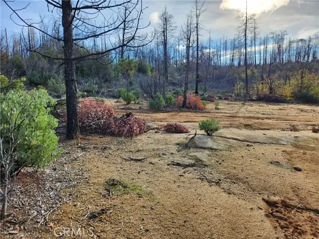 120 Woodsmoke Way, Berry Creek, CA 95916 - Image #3