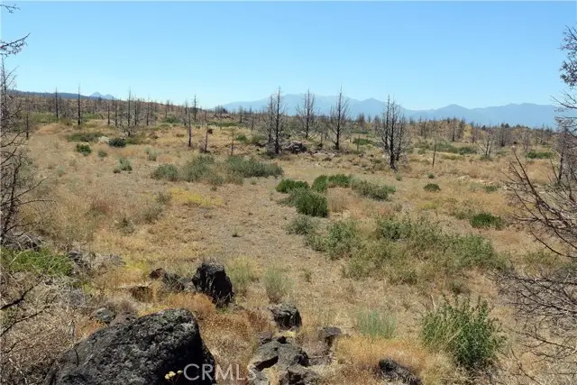 0 Juniper Valley, Weed, CA 96094 - #3