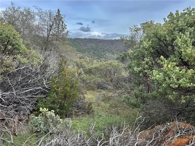 0 Top View Court, Oroville, CA 95966 - Image #1