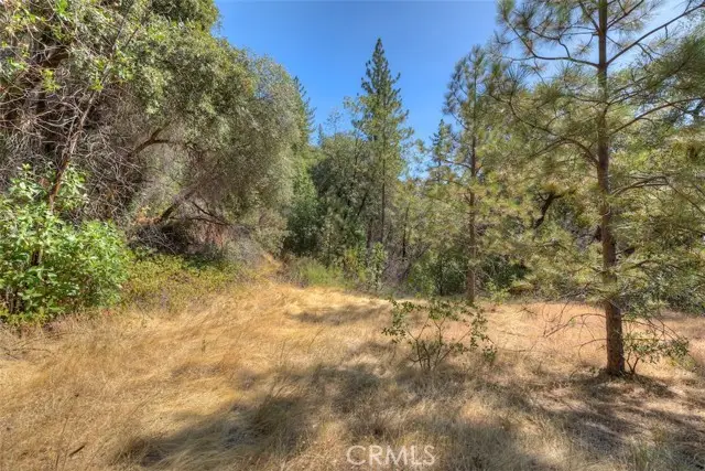 8700 Oro Quincy, Berry Creek, CA 95916 - #1