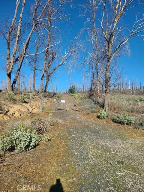 81 Green Cedar, Berry Creek, CA 95916 - #1