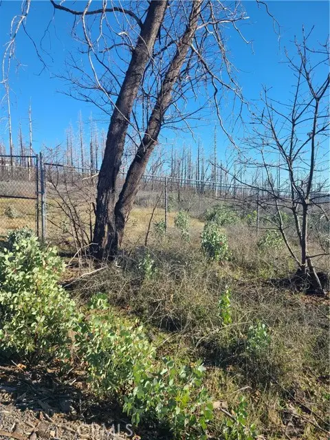 81 Green Cedar, Berry Creek, CA 95916 - #3