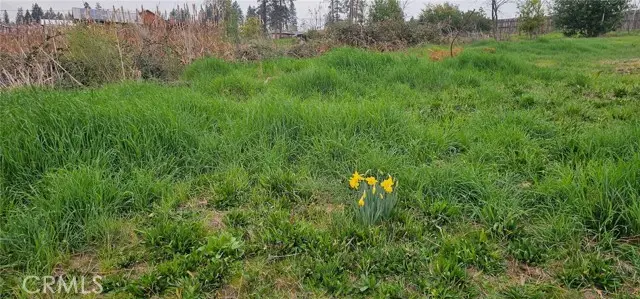 5832 Ingalls, Paradise, CA 95969 - #2