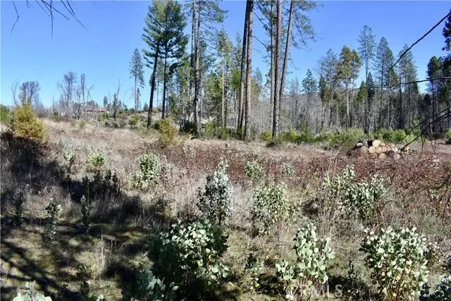 20 Meadow Lane, Berry Creek, CA 95916 - #3