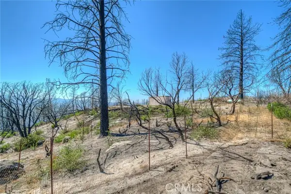 315 Harrison Springs, Berry Creek, CA 95916