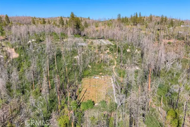 0 Four M Court, Berry Creek, CA 95916 - #2