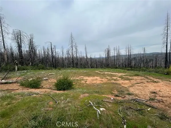 83 Oak Tree Lane, Berry Creek, CA 95916