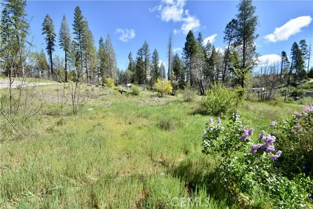 6 Sugar Pine, Berry Creek, CA 95916 - #2