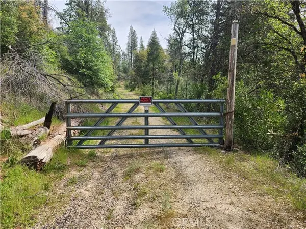 1977 Big Ridge, Berry Creek, CA 95916