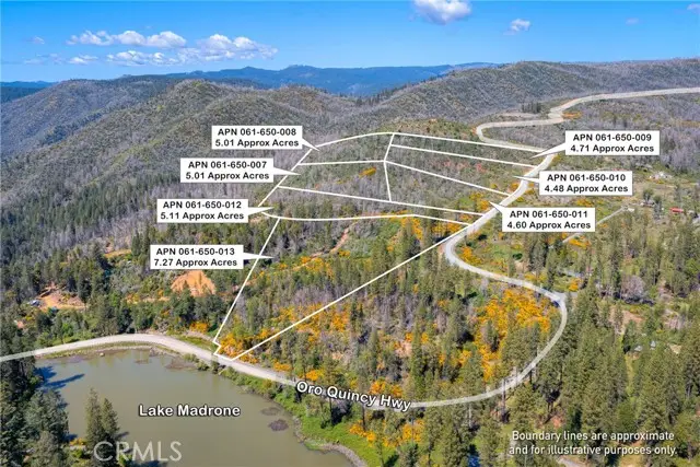0 Pavlik Pines Road, Berry Creek, CA 95916 - #1