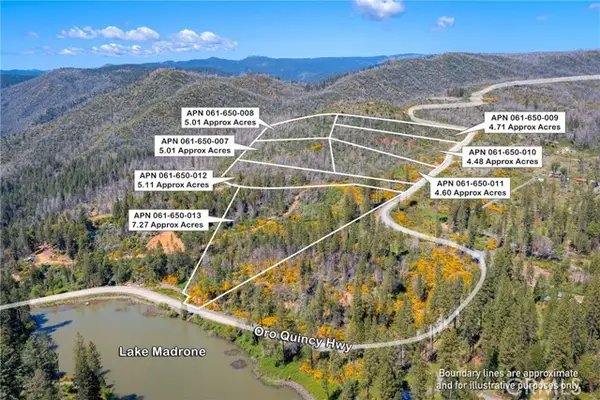 0 Pavlik Pines Road, Berry Creek, CA 95916