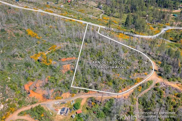 0 Pavlik Pines Road, Berry Creek, CA 95916 - #3