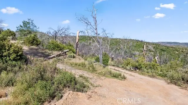 0 Eckards, Berry Creek, CA 95916 - #2