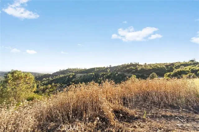 10761 Red Eye Road, Oroville, CA 95965 - #3