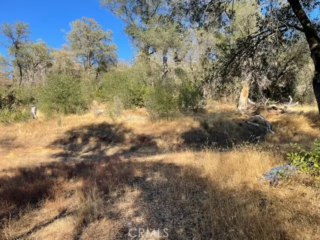 0 Hurleton Swedes Flat Road, Oroville, CA 95966 - #3