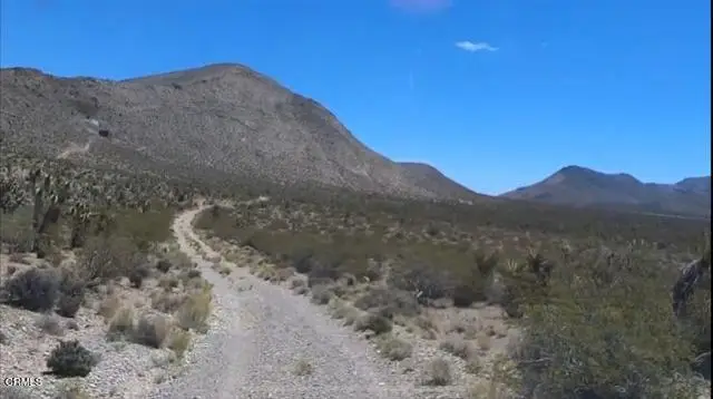 9 Clark Mountain Road, Baker, CA 92309 - #2